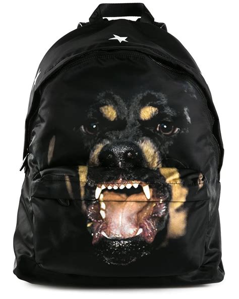 rottweiler givenchy|More.